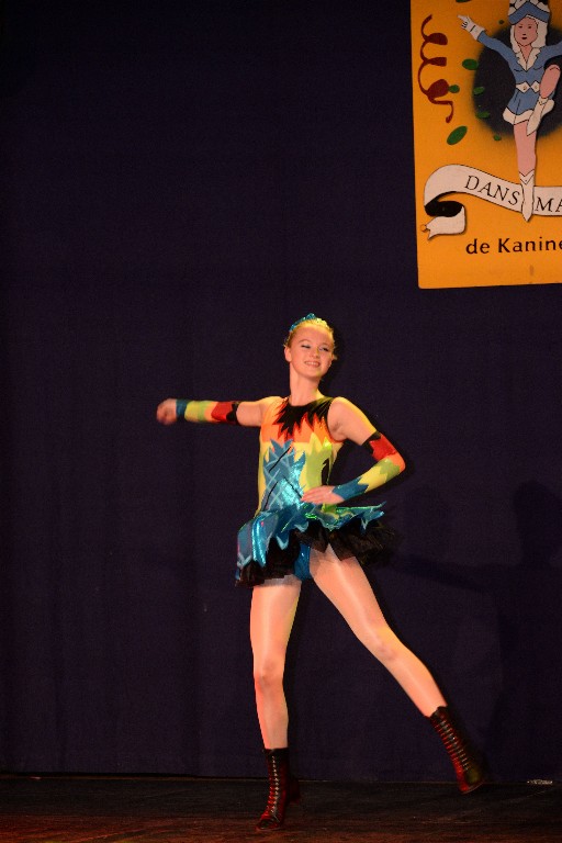 ../Images/Dansmariekefestival 2017 043.jpg